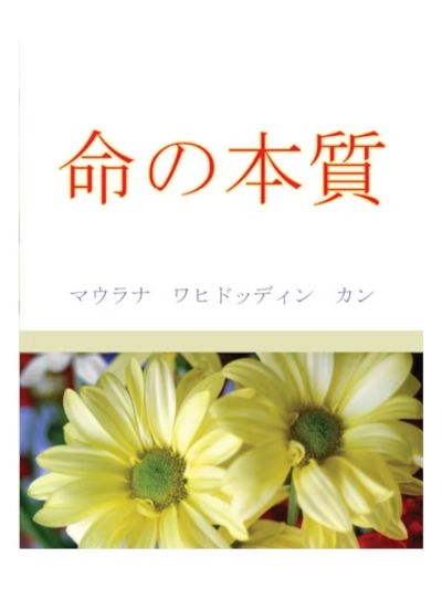 The Reality of Life (Japanese)