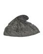 Grey (2383)