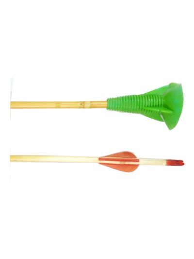 Stick Cane Arrow (Set of 10) | Archery