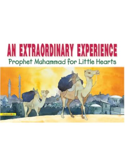 An Extraordinary Experience (Paperback)