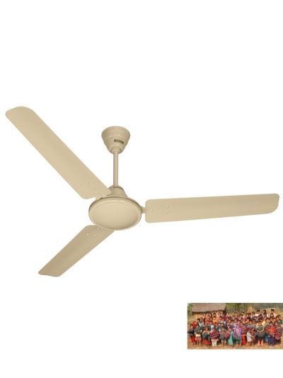 Ceiling Fan (1 Qty)