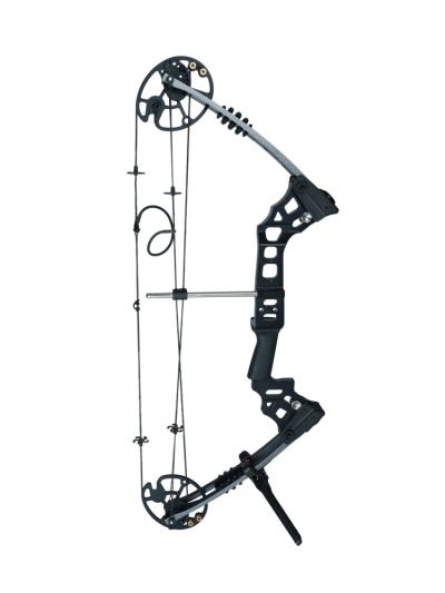 Dream Compound Bow