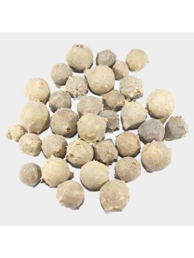 Gall Nut