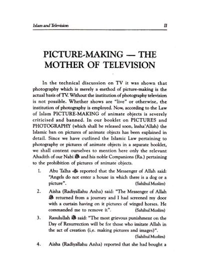 Islam and Television