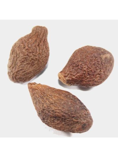 Malva Nuts