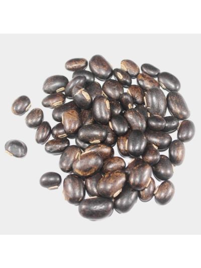 Mucuna Pruriens