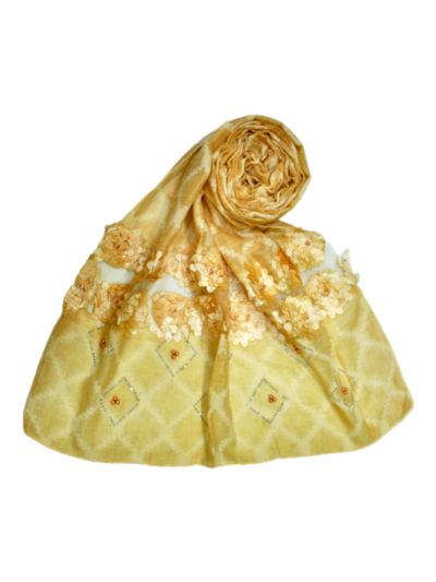 Heavy Lace On The Hijab With Kite Shaped Diamond Work