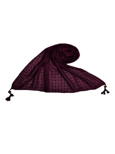 Shining Silver Liner All Over The Stole - Fringe's On The Border