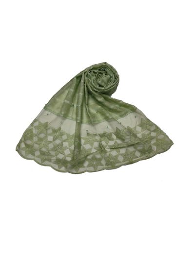 Big Star Design On Net, With Diamonds and Moti Studded Stole