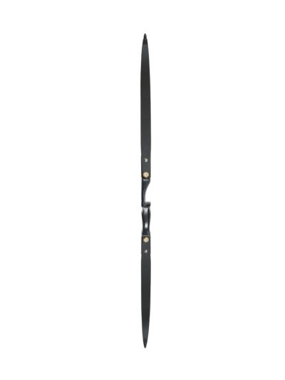 Prodigious Re-Curve Bow 