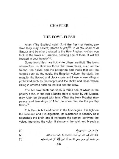 The Prophetic Medical Science – Tibbe Nabawi