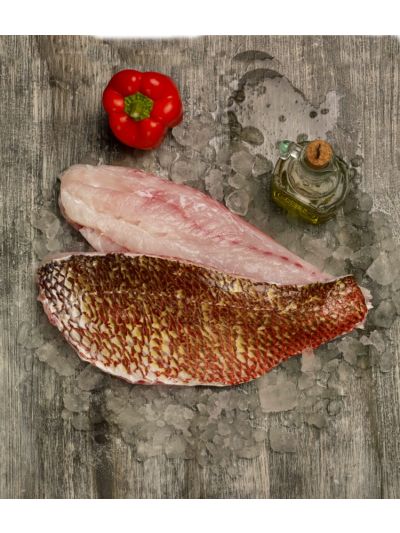 Halal Red Snapper Fillet