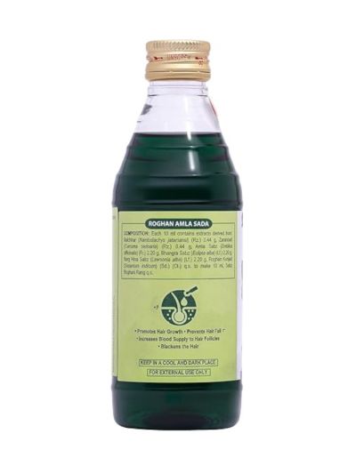 Hamdard Raughan Amla Sada Pet 500ml