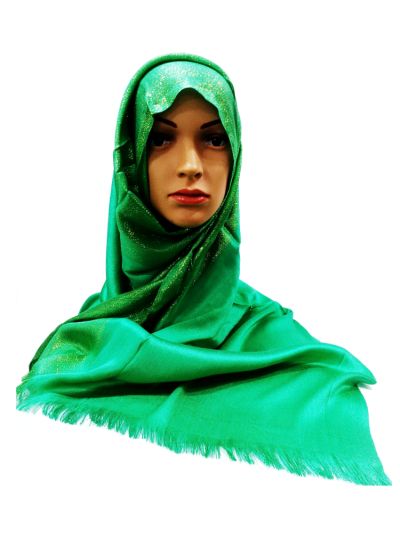 Plain Shiny Border Hijab