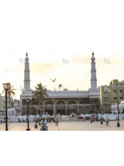 Masjid / Mosque 