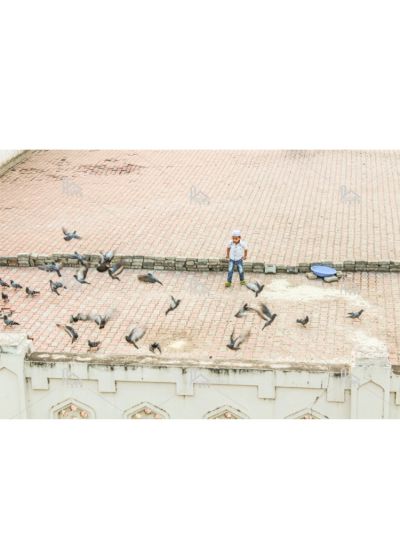 Child Playing With Pigeons