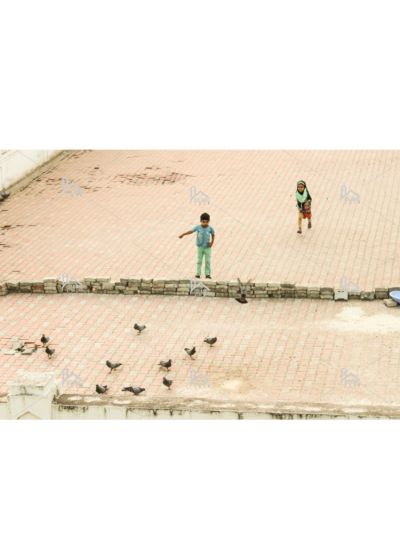 Children Watching Pigeons 