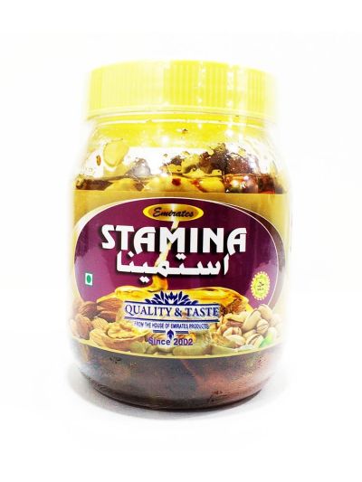 Stamina Dry Fruit 600 gram